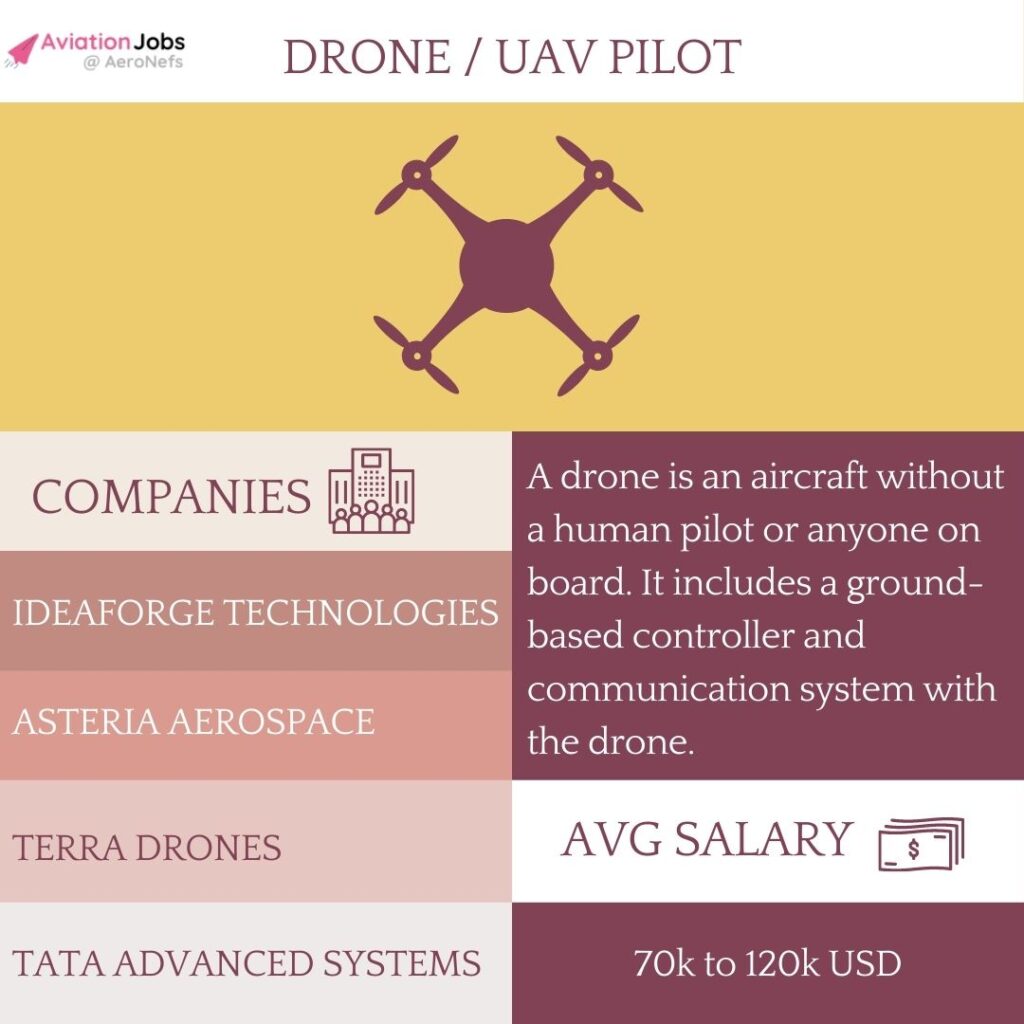  Drone / UAV Pilot