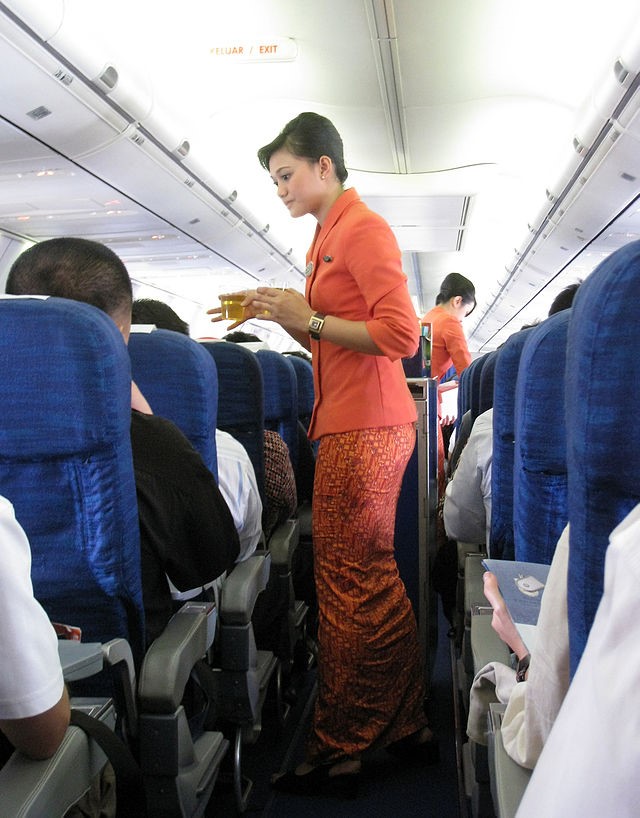 (Air hostess)|Image source: wikimedia aviation
